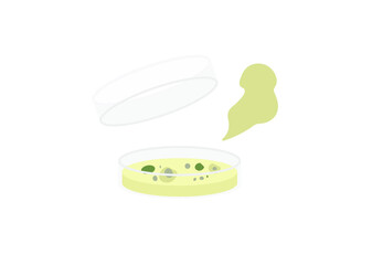 コンタミしたシャーレ