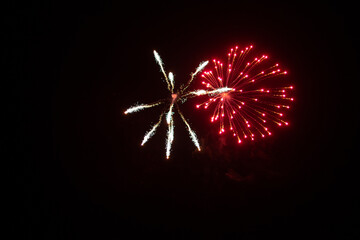 Fire Works in the night sky 