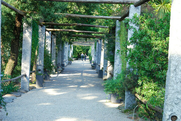 gazebo in the garden