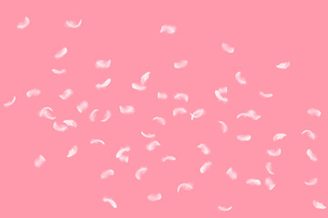 Light and soft fluffy a white feathers floating on pink background. Feather abstract freedom concept background.