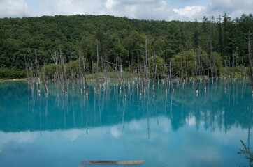 青い池