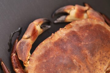 Crab close-up. Sea reptiles. Boiled crab on a black slate background.Mediterranean cuisine. Pure protein product