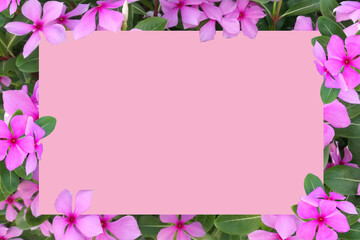 White blank space for text with flowers as backdrop