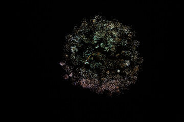 Fire Works in the night sky 