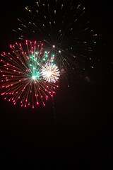 Fireworks in the night sky 