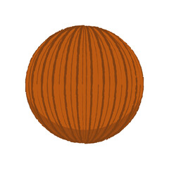 Coconut vector. Coconut on white background.