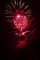 Fireworks in the night sky 