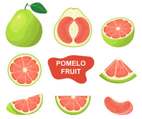 Set of fresh whole, half, cut slice red pomelo fruits isolated on white background. Summer fruits for healthy lifestyle. Organic fruit. Cartoon style. Vector illustration for any design.