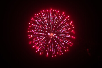 Fireworks in the night sky 