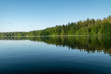 mirror image on the lake, green forest by the lake in reflection in the blue water, beauty in nature