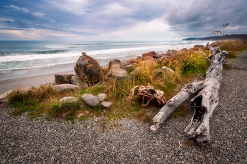 The windswept beach at Bruce Bay at sunset, with a log and rocks in the foreground, located on the West Coast of New Zealand near Haast Highway at the Tasman Sea.