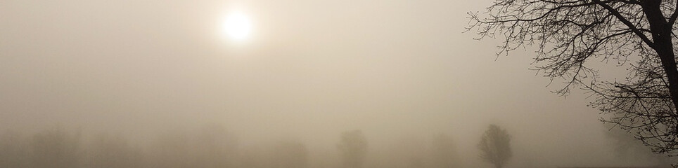 Beautiful panoramic picture of a foggy day with a tree