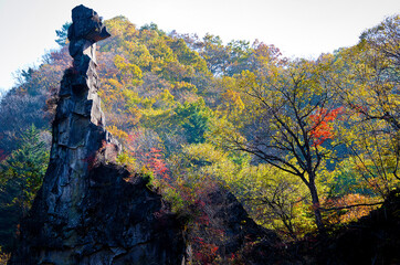 紅葉する山
