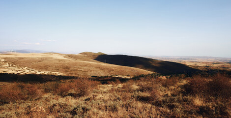
moncayo beech forest