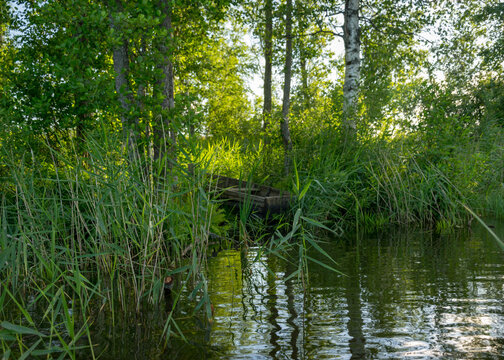 View Of The Green Shore Of The Lake On A Sunny Summer Day, Reflections In The Calm Lake Water