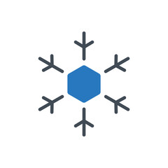 Obraz premium Snowflake icon
