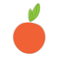 Orange fruit on white background. Vector illustration