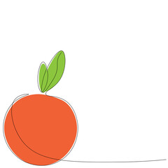 Orange citrus fruit. Vector illustration