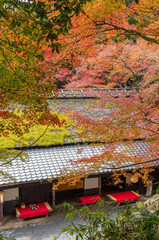 idyllic landscape of Arashiyama in Kyoto, Japan in autumn season