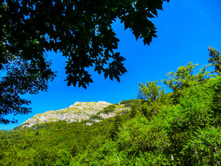 Obraz premium Lago Nero, in the mountains of Abetone, Pistoia, Tuscany, Italy, in summer.