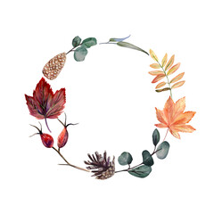 Watercolor hand painted fall wreath with autumn leaves, rose hip branches and cones. Delicate arrangement is perfect for thanksgiving greeting cards or autumn wedding or party invitations.