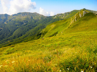 Fototapeta na wymiar Panoramic View of Gomito mountain, Abetone, Pistoia, Tuscany, Italy, in summer.