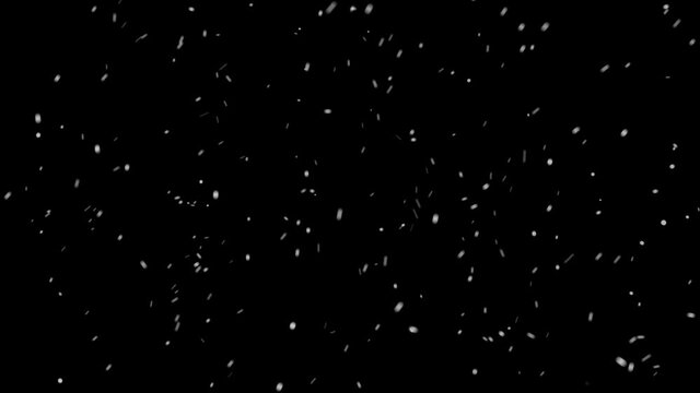 Falling Snow 3. 
Compatible with any non-linear editor: Adobe Premiere, Adobe After Effects, Final Cut, Sony Vegas, Movie Maker, Avid or any your favorite compositing app.