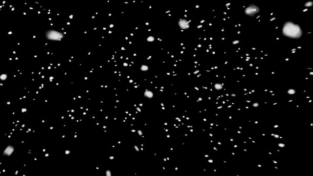 Falling Snow. 
Compatible with any non-linear editor: Adobe Premiere, Adobe After Effects, Final Cut, Sony Vegas, Movie Maker, Avid or any your favorite compositing app.