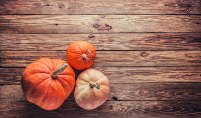 Thanksgiving background: pumpkins on wooden background. Halloween, Thanksgiving day or seasonal autumnal.