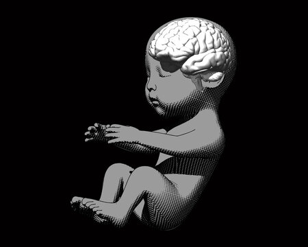 Human fetus with brain demostration on dark BG