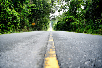 Empty road in the midst of abundant nature in Khao Yai National Park