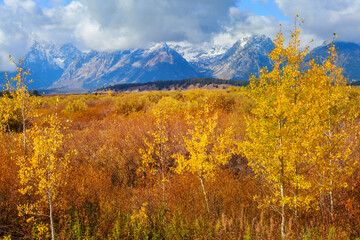 Fototapeta premium Autumn in mountains