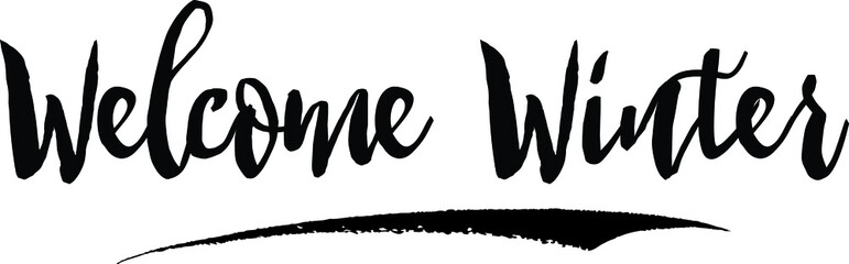 Welcome winter. Handwritten Calligraphy Black Color Text On White Background