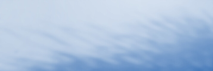 Fototapeta premium Abstract Shadows, blurred backgrounds, blue leaves, blue and natural trees that reflect concrete walls, fallen branches on the white wall surface for blurred backgrounds and wallpaper.