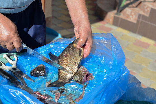at the market, a man cleans fish from scales