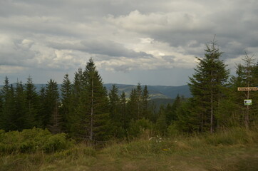 
LANDSCAPE OF MOUNTAINS