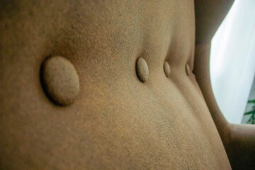 Fototapeta premium Living Sofa