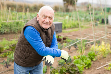 Fototapeta premium Portrait of senior man gardener during working at land garden outdoor