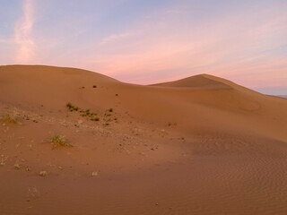 Pink sky at the desert during sunrise