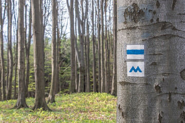 Blue trail