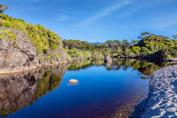 The overgrown shores
