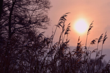 Fototapeta premium autumn landscape lump at sunset