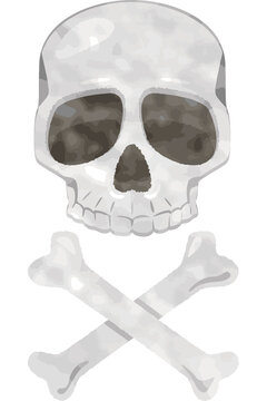 人間の頭蓋骨のイメージイラスト（デフォルメ）