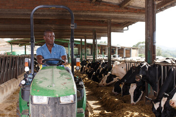 Portrait of man proffesional farmer is sitting in the car near cows at the cow farm