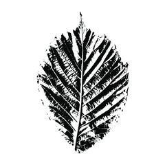 Tree leaf imprint. Isolated silhouettes of leaves. Botanical vector illustration. Suitable for design, pattern, postcards, prints.