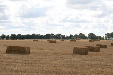 Strohballen auf dem Acker nach Getreideernte 3