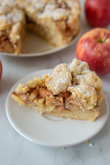 Fototapeta na wymiar home made traditional american apple pie 