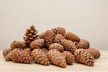 pine cones background