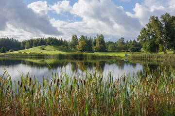 Obraz na płótnie Canvas City Talsi, Latvia. Lake with water grass.