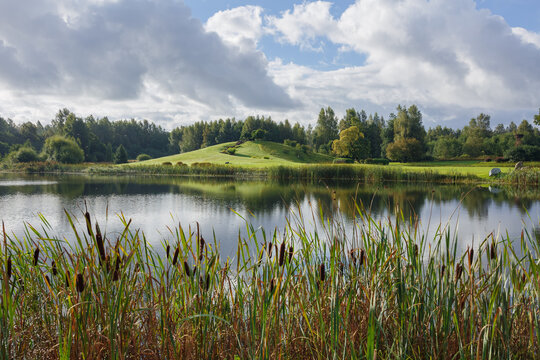City Talsi, Latvia. Lake with water grass.
